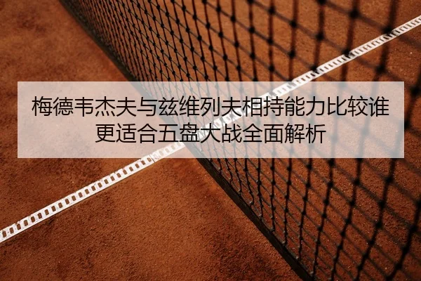梅德韦杰夫与兹维列夫相持能力比较谁更适合五盘大战全面解析